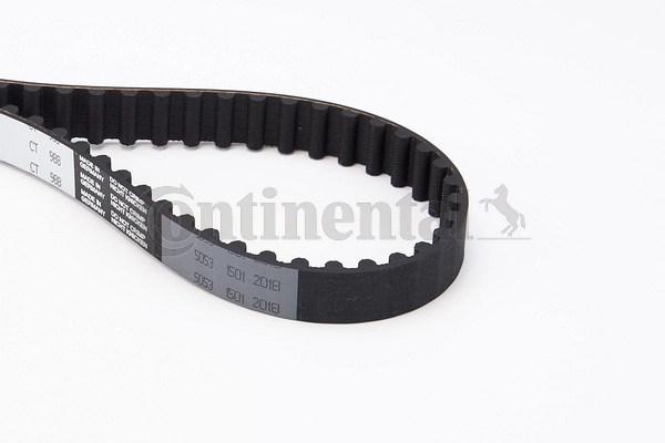 Timing Belt